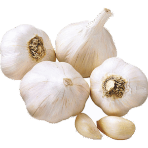 Garlic  | 180 Per Kg | Min Order 10Kg