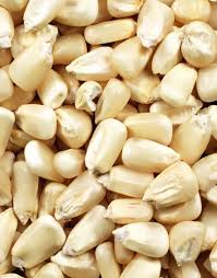 Maize | White Maize 60 Per Kg  |  Yellow Maize 80 Per Kg | Min Order 25Kg