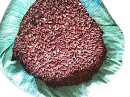 Nyayo Beans | 100 Per Kg | Min Order 20Kg