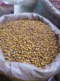 Yellow Beans | 140 Per Kg | Min Order 20Kg